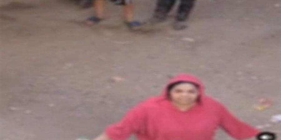 ميهمنيش الحكومة .. تفاصيل جديدة بشأن أبطال فيديو مشاجرة المرج - هرم مصر
