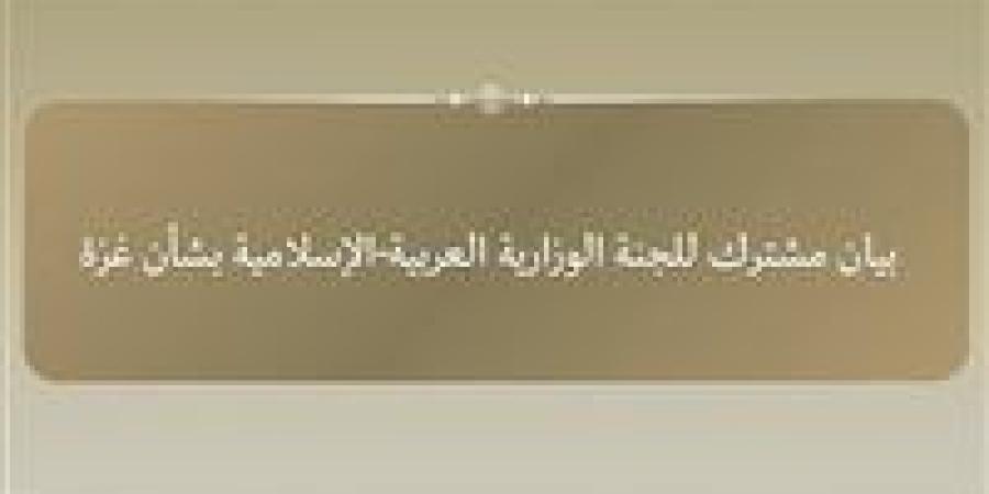 اللجنة الوزارية العربية الإسلامية تصدر بيانا بشأن عدم منح تأشيرات للوفد الفلسطيني - هرم مصر