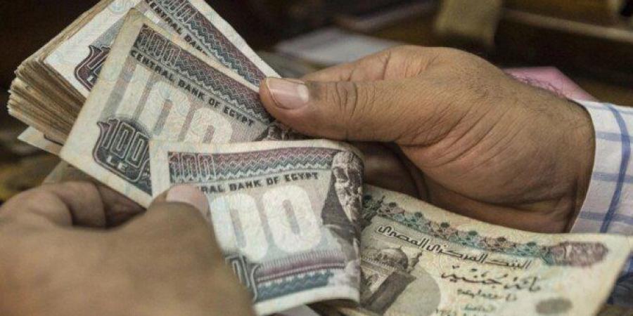 العائد الشهري على شهادة ادخار البلاتينية في البنك الأهلي ينخفض لـ 17% - هرم مصر
