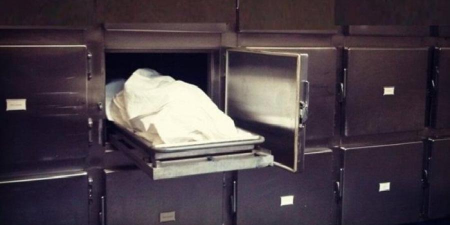 العثور على جثة شخص بجوار شريط السكة الحديد بالشرقية - هرم مصر