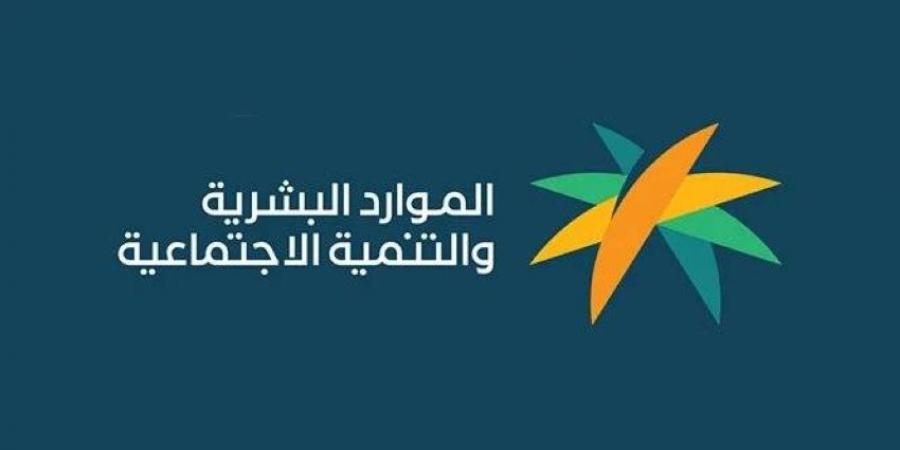 الموارد البشرية تنفذ أكثر من 912 ألف جولة رقابية منذ مطلع 2025 - هرم مصر