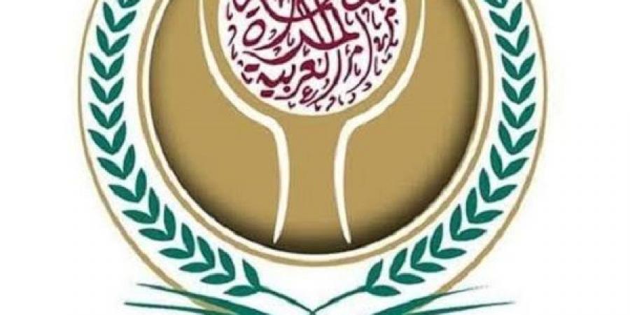 المرأة العربية و"المساواة الآن" يناقشان تقريرًا إقليميًا حول قوانين الاغتصاب - هرم مصر