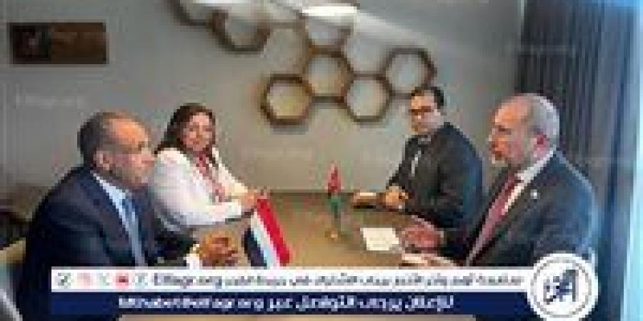 وزيرا خارجية مصر والأردن يؤكدان رفض العدوان الاسرائيلى والتهجير في غزة - هرم مصر
