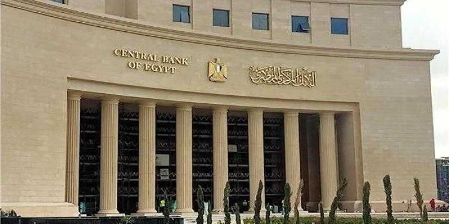 البنك المركزي يصدر تعليمات الحوكمة والرقابة الداخلية لمشغلي الدفع ومقدمي خدمات الدفع - هرم مصر