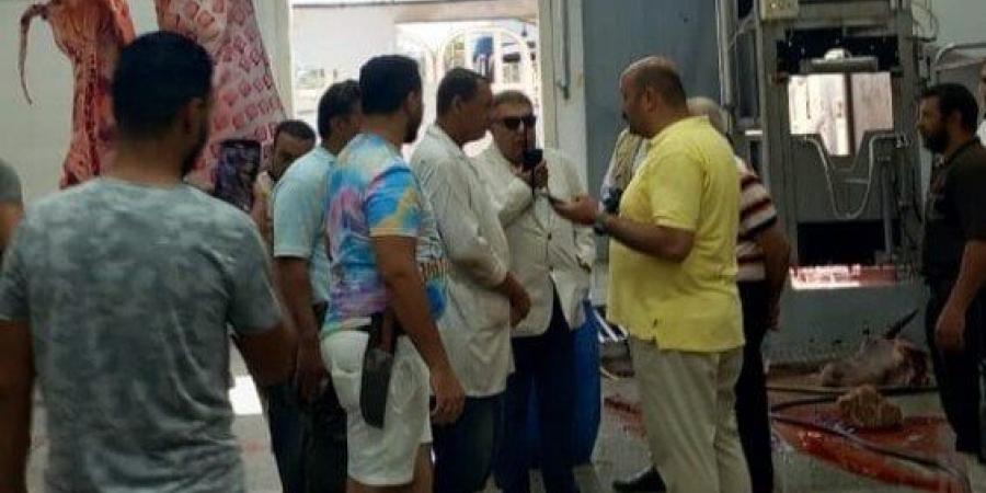 محافظ الدقهلية يُفاجئ مجزر المنصورة بميت الكرما لمتابعة انتظام العمل - هرم مصر