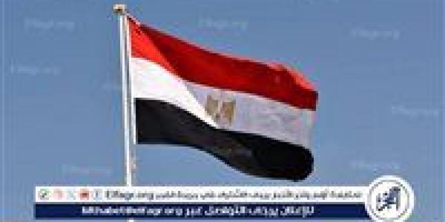 مصر تدين استمرار التوسع العسكري الإسرائيلي في غزة - هرم مصر