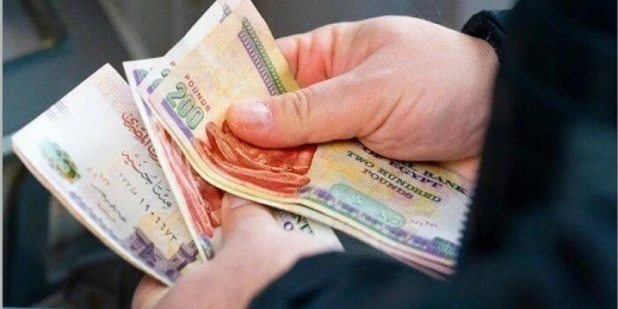 1500 جنيه.. خطوات التسجيل ورابط الحصول على منحة المولد النبوي الشريف - هرم مصر