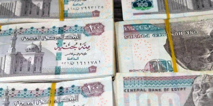 بعد تخفيض الفائدة.. مقارنة بين شهادات الادخار في بنك مصر والبنك الأهلي - هرم مصر