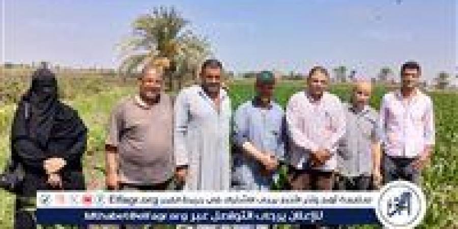 يوم حقل إرشادي بالفيوم عن الذرة الشامية في إطار مشروع ترشيد استهلاك المياه - هرم مصر
