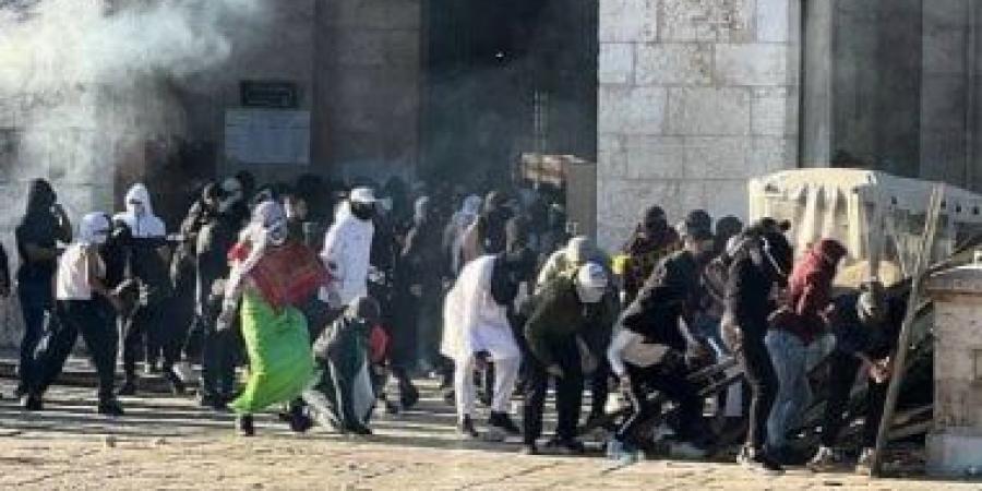 مستوطنون إسرائيليون يقتحمون باحات المسجد الأقصى - هرم مصر