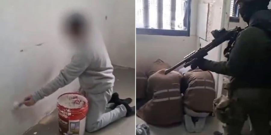رئيس نادي الأسير الفلسطيني: أخطار تحدق بالأسرى وتهديد بتصفية قياداتهم - هرم مصر