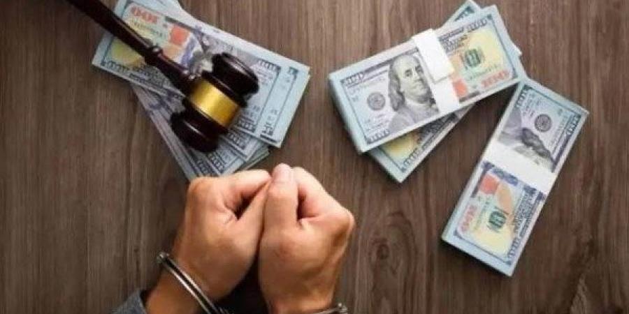 بقيمة 10 ملايين جنيه.. ضبط قضايا اتجار غير مشروع بالنقد الأجنبي خلال 24 ساعة - هرم مصر