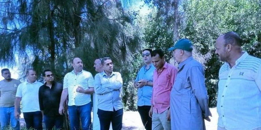 زراعة كفر الشيخ تواصل متابعات الزراعات الصيفية وصرف الأسمدة ومكافحة الآفات - هرم مصر