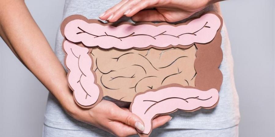 خطوات الحفاظ على صحة الأمعاء - ايجي سبورت