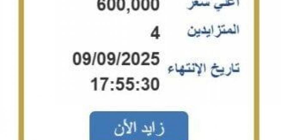سعرها وصل 600 ألف جنيه.. المزايدة تتصاعد على لوحة سيارة مميزة - هرم مصر