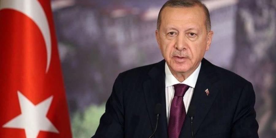 أردوغان: تركيا تقف بكل إمكانياتها إلى جانب الأشقاء الفلسطينيين ودولة قطر - هرم مصر