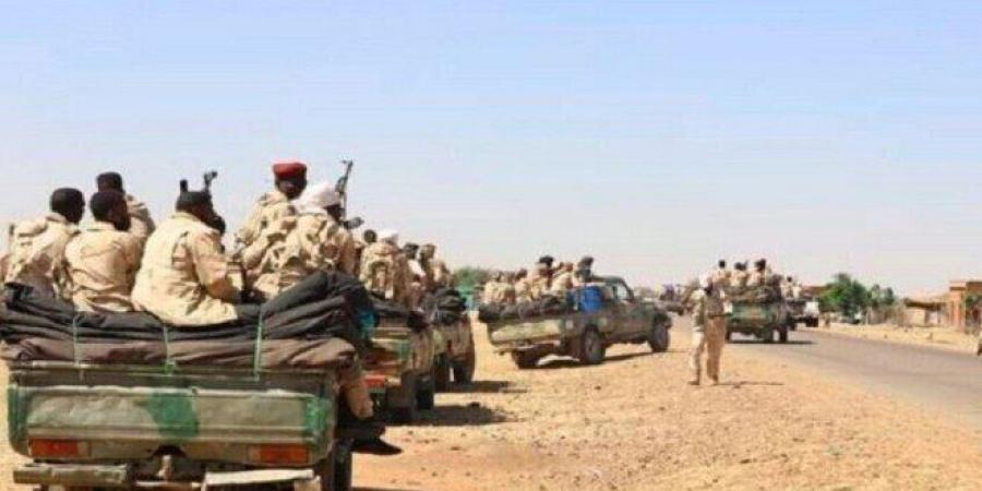 السودان.. مصرع أكثر من 300 عنصر من قوات الدعم السريع في هجوم على كازقيل بشمال كردفان - هرم مصر