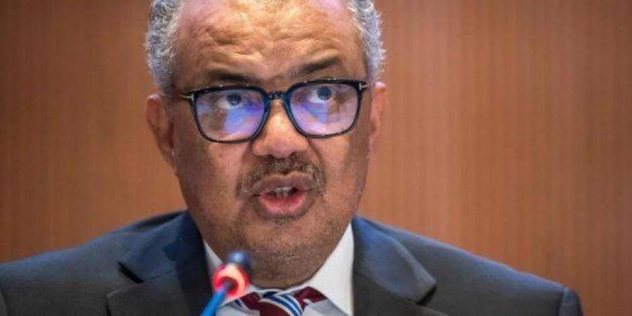 الصحة العالمية تعقد مؤتمرا صحفيا عن مقاومة مضادات الميكروبات في غزة - هرم مصر