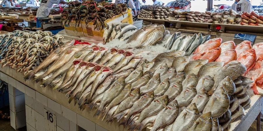 أسعار الأسماك والجمبري اليوم الخميس 11 سبتمبر 2025 - هرم مصر