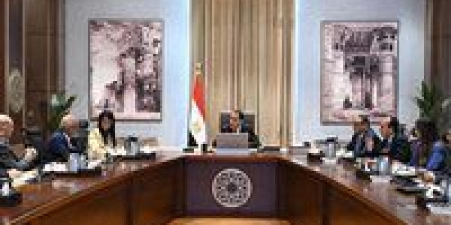 رئيس الوزراء يلتقي المدير التنفيذي لمصر بمجموعة البنك الدولي - هرم مصر