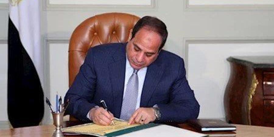 الرئيس السيسي يصدر قرارا بالموافقة على اتفاقية «خطوط جوية منتظمة» بين مصر ونيوزيلاندا - هرم مصر