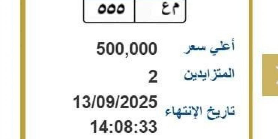 مزاد على لوحة سيارة مميزة يتجاوز 500 ألف جنيه - هرم مصر
