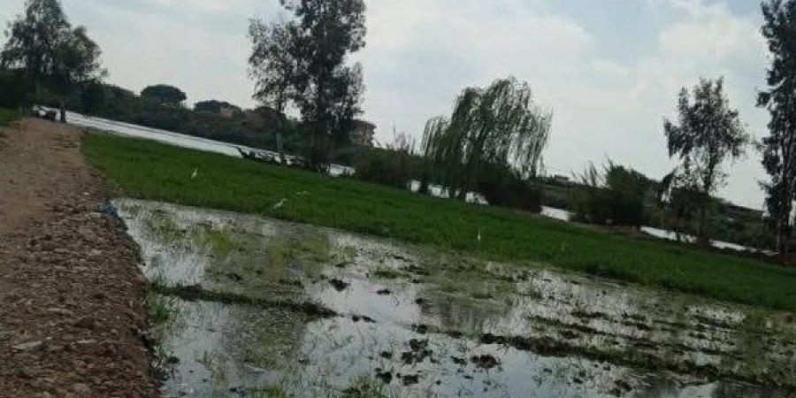 تحذيرات لمزارعي أراضي طرح النهر بالمنوفية من ارتفاع منسوب النيل - هرم مصر