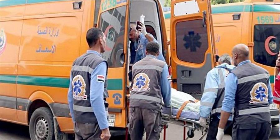 اصابة امين شرطة وخفير صدمتهم سيارة ربع نقل بكمين علي طريق جمصه - هرم مصر