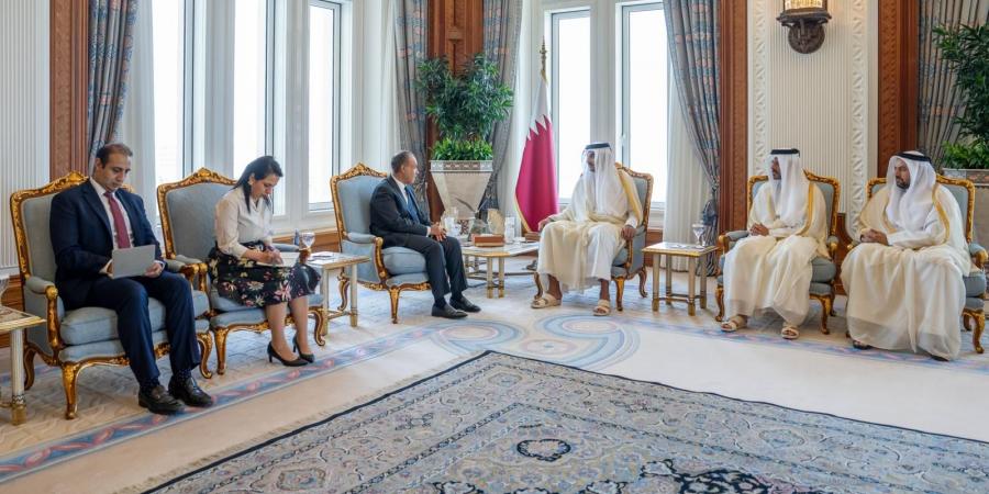 وزير الخارجية ينقل رسالة تضامن ودعم من فخامة الرئيس الي أخيه سمو الشيخ تميم بن حمد آل ثاني امير دولة قطر الشقيقة - هرم مصر