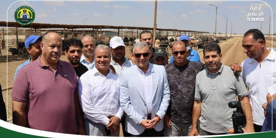 محافظ الإسماعيلية يتفقد مزرعة إنتاج حيواني ويوجه بإنشاء مجزر..صور - هرم مصر