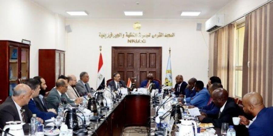 التعليم العالي: تعاون «مصري- سوداني» في الأبحاث الجيولوجية - هرم مصر