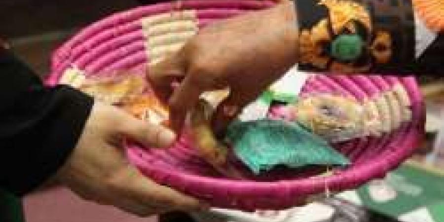 اهتمام شاب بالمقتنيات التاريخية و التراثية في المملكة - هرم مصر