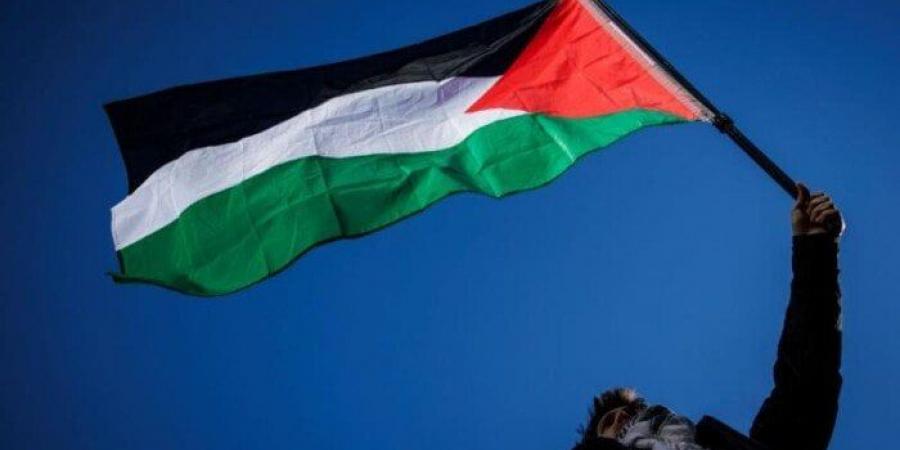 فلسطين ترحب بتصويت «الجمعية العامة» لصالح قرار يؤيد «إعلان نيويورك» بشأن حل الدولتين - هرم مصر