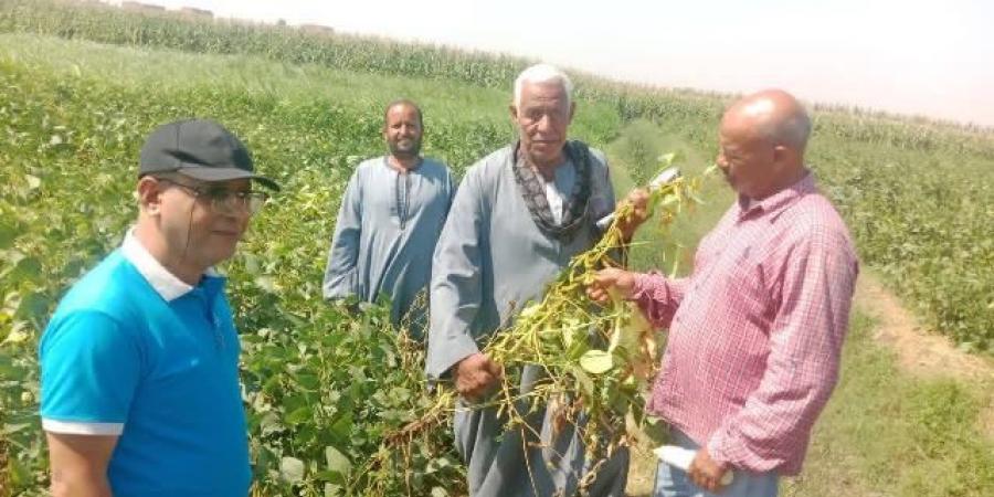 محافظ أسيوط: برامج توعية زراعية لتعظيم الاستفادة من المخلفات - هرم مصر