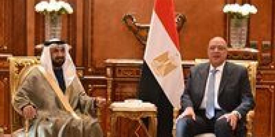 لدعم العمل البرلماني.. المستشار هشام بدوي رئيس مجلس النواب يستقبل رئيس البرلمان العربي - جريدة هرم مصر