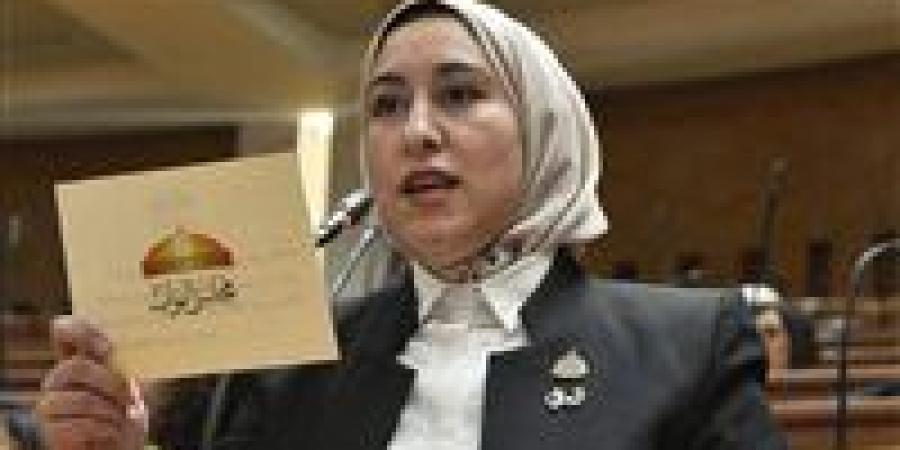 سؤال برلماني بشأن قرار وقف إعفاء أجهزة الهواتف المحمولة للمصريين المقيمين بالخارج - جريدة هرم مصر