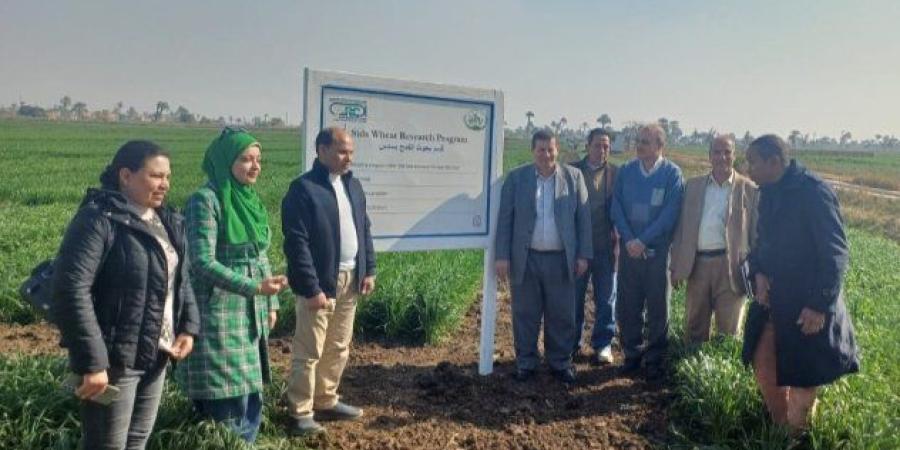 «الزراعة» تواصل متابعة المحاصيل الاستراتيجية ببني سويف لدعم المزارعين - جريدة هرم مصر