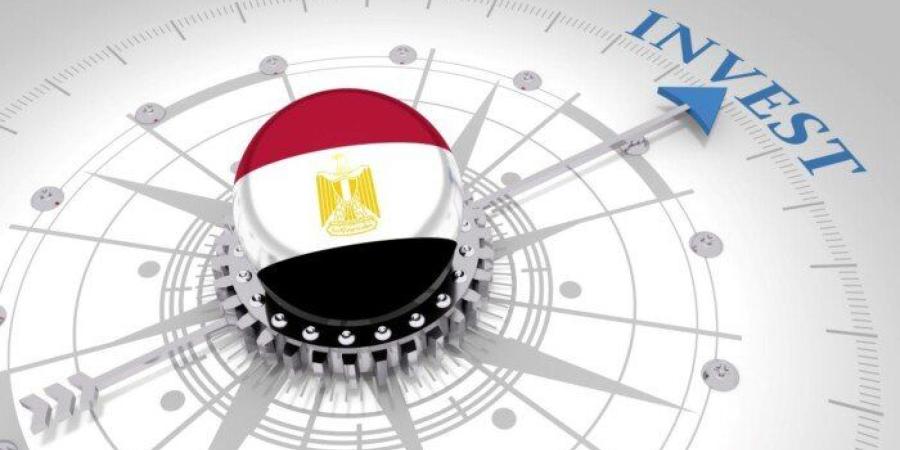 بزيادة 20%.. 12.2 مليار دولار حجم الاستثمار الأجنبي في مصر خلال 2025 - جريدة هرم مصر