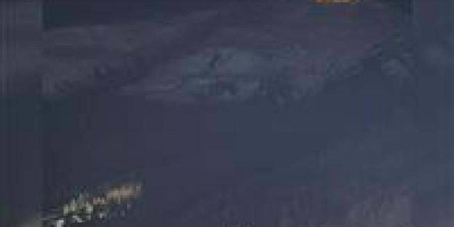 "لا للملوك" تلاحق ترامب في دافوس وسط مخاوف عابرة للحدود لسياساته (فيديو) - جريدة هرم مصر