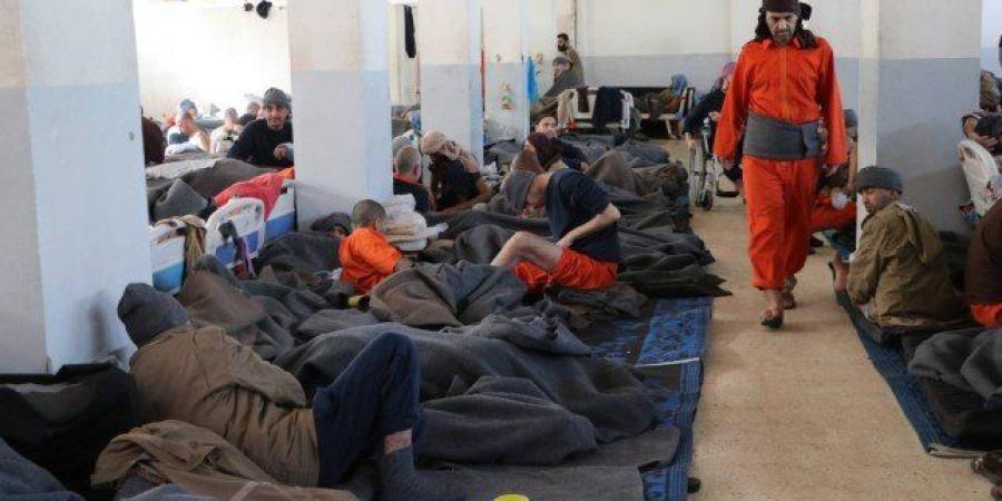 عمليات نقل معتقلي "داعش" من سوريا إلى العراق (تفاصيل) - جريدة هرم مصر