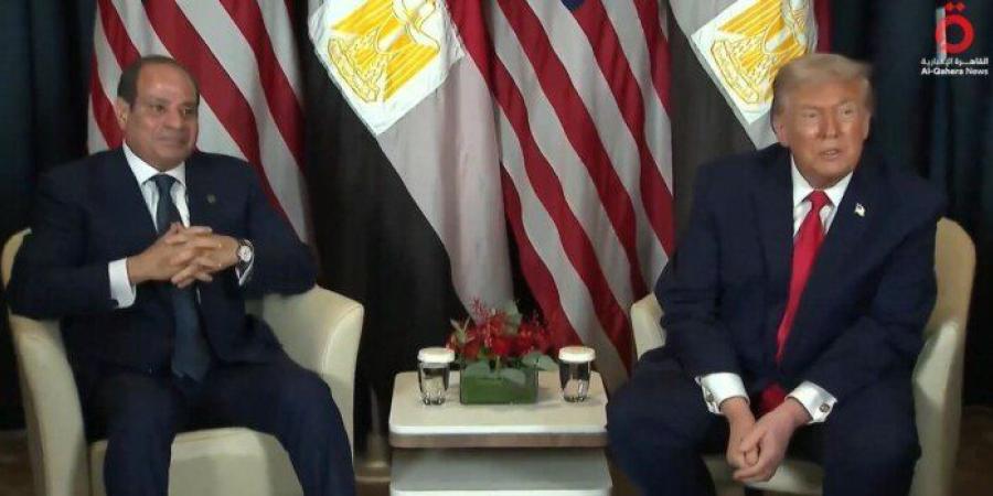 على هامش منتدى دافوس.. تفاصيل لقاء الرئيس السيسي وترامب «فيديو» - جريدة هرم مصر