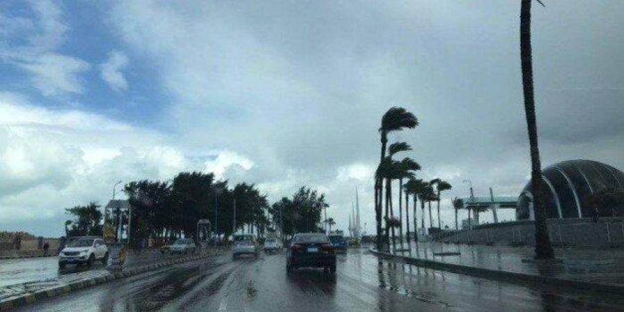 حالة الطقس غدًا.. طقس مائل للدفء نهارًا وتحذيرات من الرياح والأتربة - جريدة هرم مصر