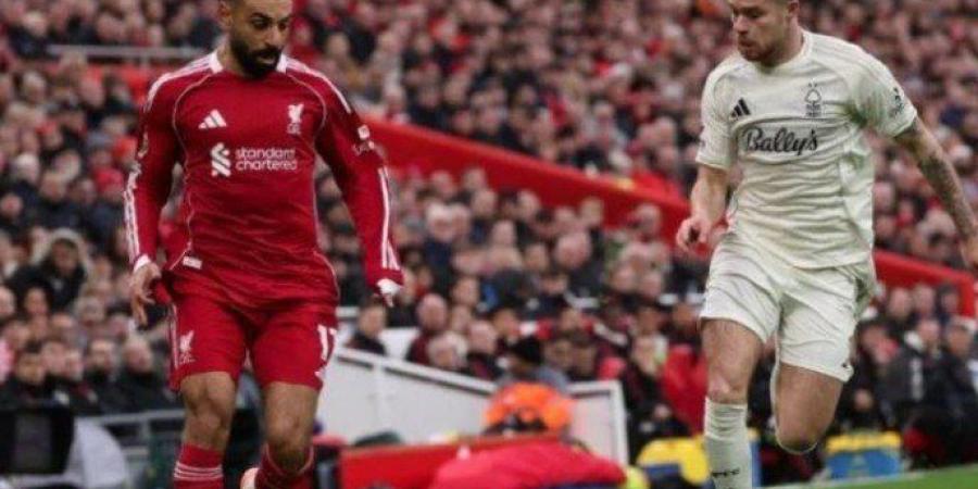 بث مباشر.. مشاهدة مباراة ليفربول ضد مارسيليا في دوري أبطال أوروبا - جريدة هرم مصر
