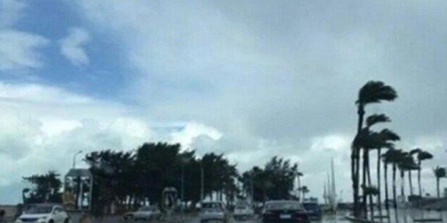 «شبورة مائية وأمطار».. حالة الطقس غدا الخميس 22 يناير 2026 - جريدة هرم مصر