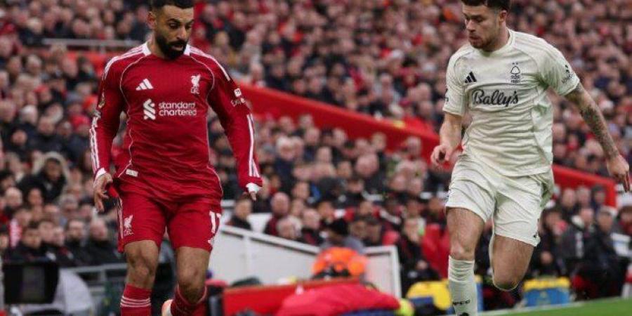 مشاهدة مباراة ليفربول ضد مارسيليا في دوري أبطال أوروبا اليوم - جريدة هرم مصر