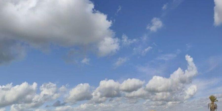 ارتفاع تدريجي للحرارة.. الأرصاد تعلن حالة طقس اليوم الخميس 22 يناير - جريدة هرم مصر