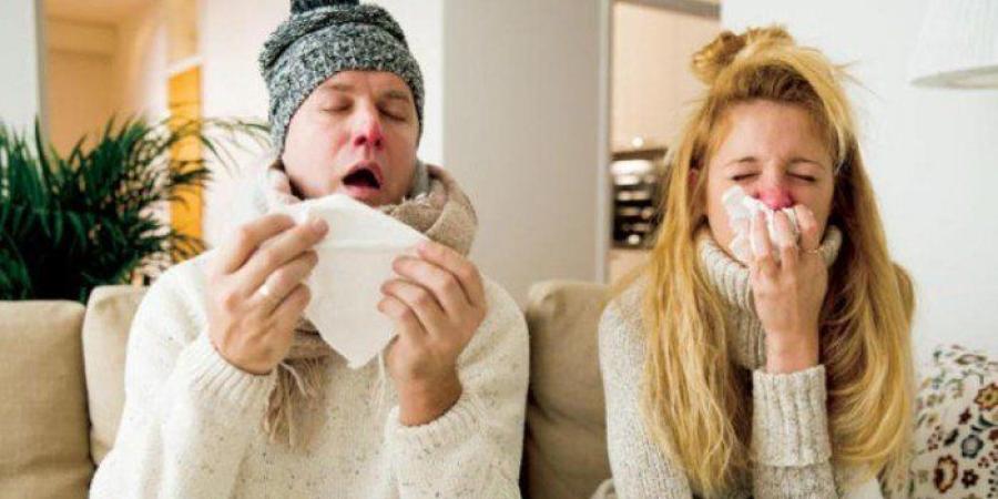 رياح وأتربة وتقلبات جوية.. خبراء يحذرون مرضى الحساسية والجيوب الأنفية ويضعون روشتة وقائية فعّالة - جريدة هرم مصر