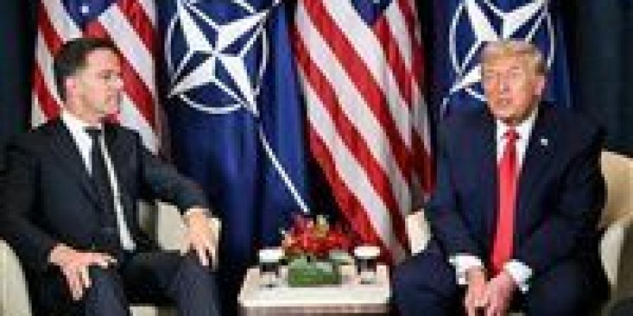 ترامب يعلن "إطار اتفاق" بشأن جرينلاند ويتراجع عن الرسوم جمركية (فيديو) - جريدة هرم مصر