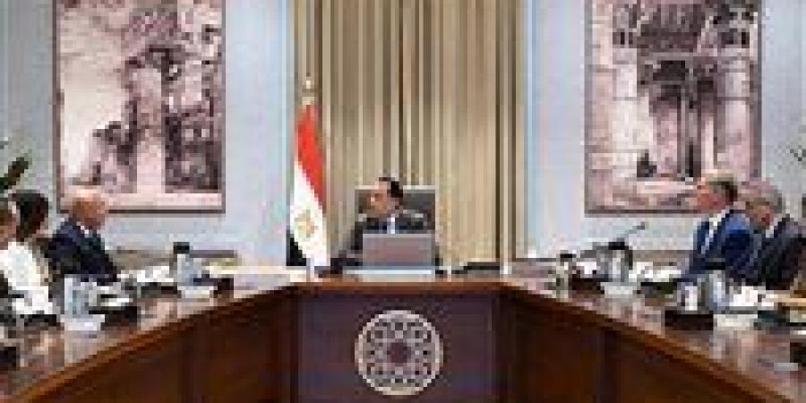 رئيس الوزراء: نعمل على تعظيم الاستفادة من الثروات التعدينية ذات المردود الصناعي والاقتصادي - جريدة هرم مصر