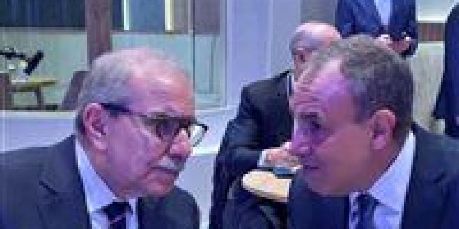 «على هامش منتدى دافوس».. وزير الخارجية يقود تحركًا دبلوماسيًا مصريًا لاحتواء أزمات الشرق الأوسط - جريدة هرم مصر